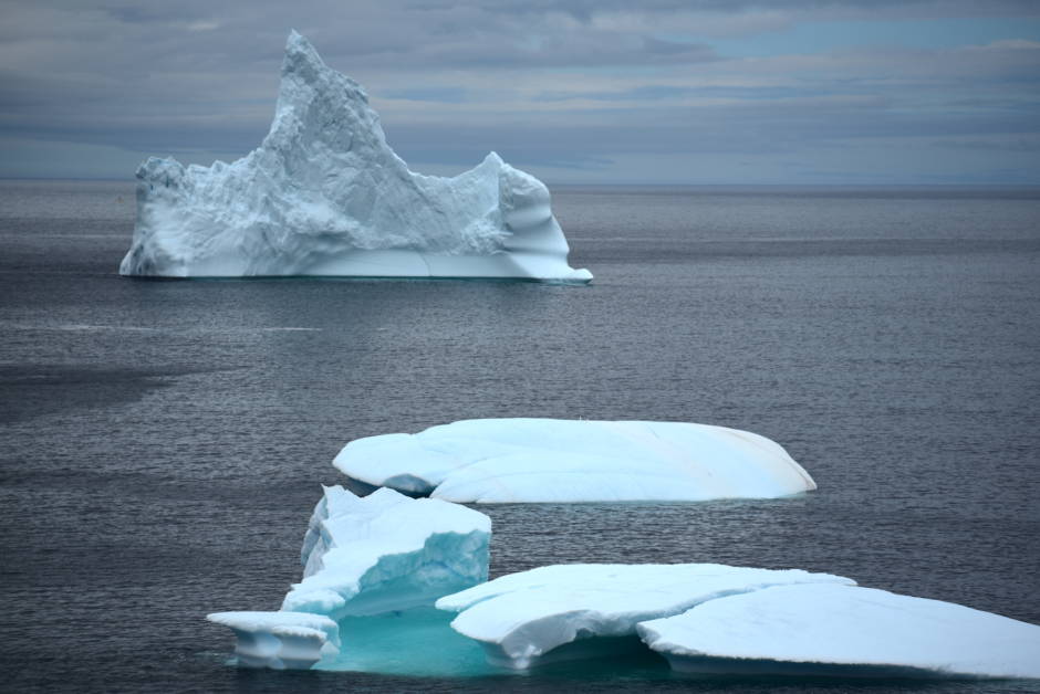 Hunting Icebergs In Newfoundland In 2019